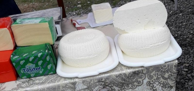 ИНГУШЕТИЯ. 60% жителей РИ назвали сыр любимым продуктом