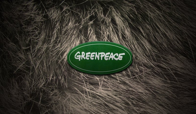 Роскомнадзор ограничил доступ на территории РФ к сайту Greenpeace International