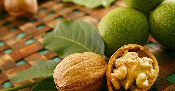 Ученые расшифровали «код» аромата грецкого ореха