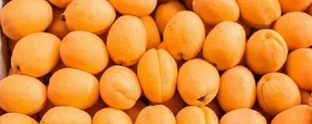 Диетолог Гинзбург предупредил о вреде персиков, нектаринов и абрикосов для диабетиков