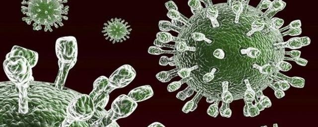 Гастроэнтеролог Ольга Глушко привела отличия между ротавирусом и привычным пищевым отравлением