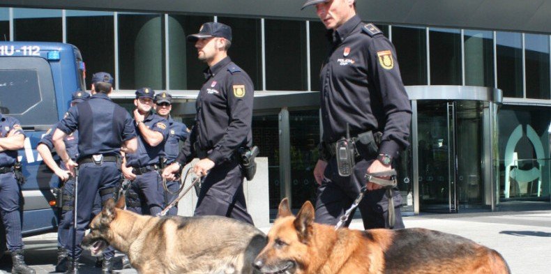 Испания: полиция конфисковала 6,5 тонны спрятанного в бананах кокаина