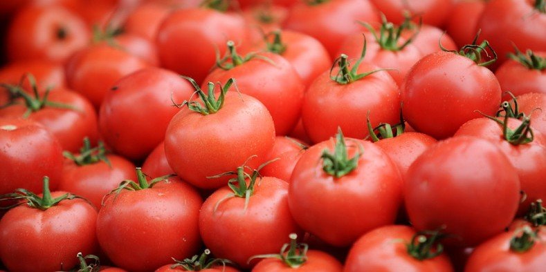 Предотвращен незаконный ввоз в Россию 61 тонны овощей и ягод из Азербайджана