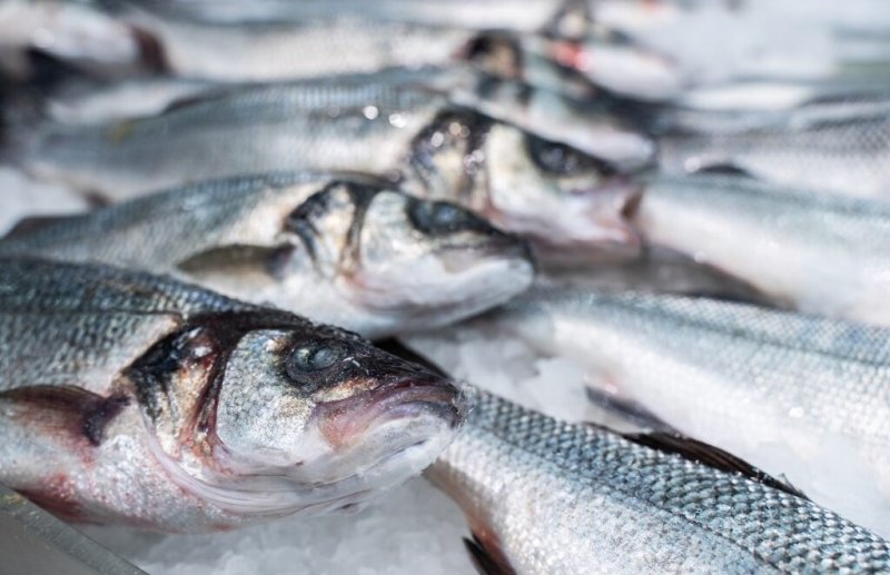 Россия ввела запрет на импорт из недружественных стран готовой продукции из рыбы и морепродуктов