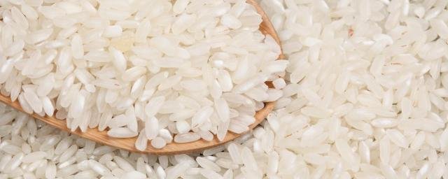 КАЛМЫКИЯ. Инвестор вложит в рисовый агрокомплекс в Калмыкии более 14 миллиардов рублей