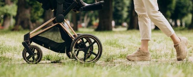 КАЛМЫКИЯ. В Элисте двое несовершеннолетних школьников украли детскую коляску