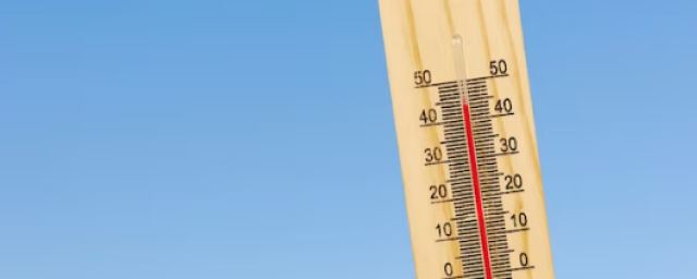 КРАСНОДАР. В Краснодарском крае из-за 40-градусной жары могут сократить рабочий день