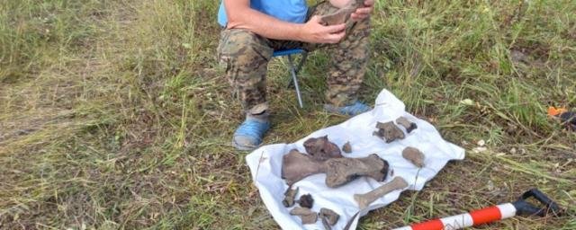 Палеонтологи обнаружили в Якутии останки нескольких видов древних животных