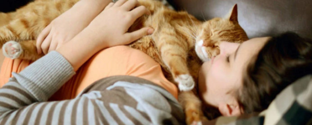 Ветеринар Гольнева рассказала, может ли кошка вылечить больное место у человека
