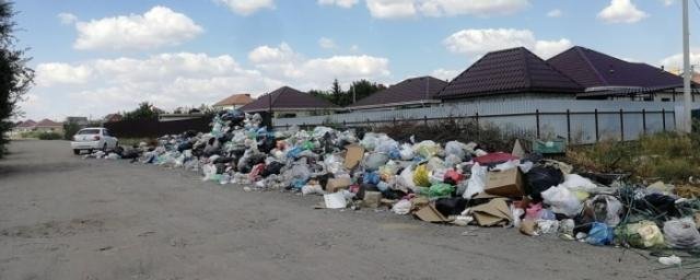 ВОЛГОГРАД. В поселке Царицын под Волгоградом мусор не вывозился 1,5 месяца и превратился в зловонную гору