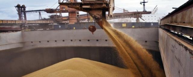 ВОЛГОГРАД. Волгоградская область отправила в Иран около 25 тысяч тонн кукурузы и ячменя