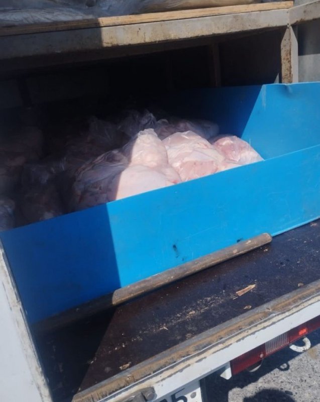 ЧЕЧНЯ. На границе республки пресекли незаконную перевозку мяса домашней птицы