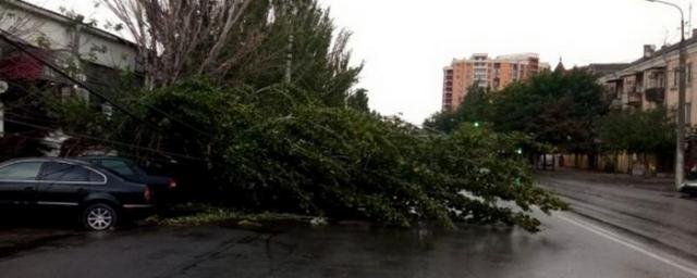 ДАГЕСТАН. В Махачкале сильный ветер повалил деревья и оборвал линии электропередач