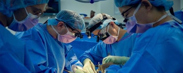 Хирурги из США зафиксировали рекордное время работы свиной почки в теле умершего человека