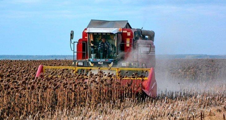 Правительство РФ поддержит кредитование аграриев