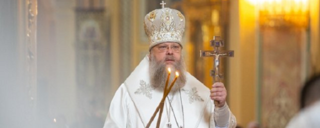 РОСТОВ. Ростовский митрополит Меркурий назвал ЭКО вмешательством в божий промысел