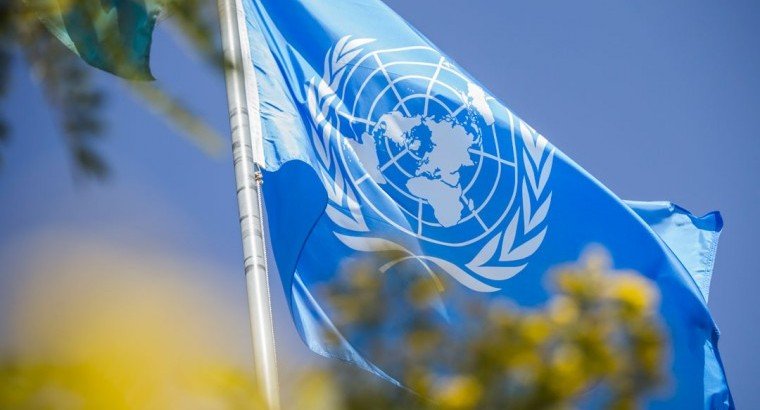 Арабские страны в ООН поддержали проект резолюции РФ по Палестино-Израильскому конфликту