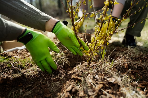 ЧЕЧНЯ. В Грозном до конца года будут высажены более 1300 молодых деревьев