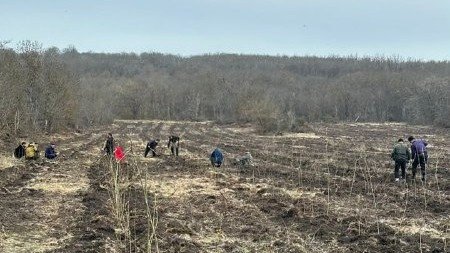 ЧЕЧНЯ. В Наурском районе восстановлено 10 гектаров лесного фонда