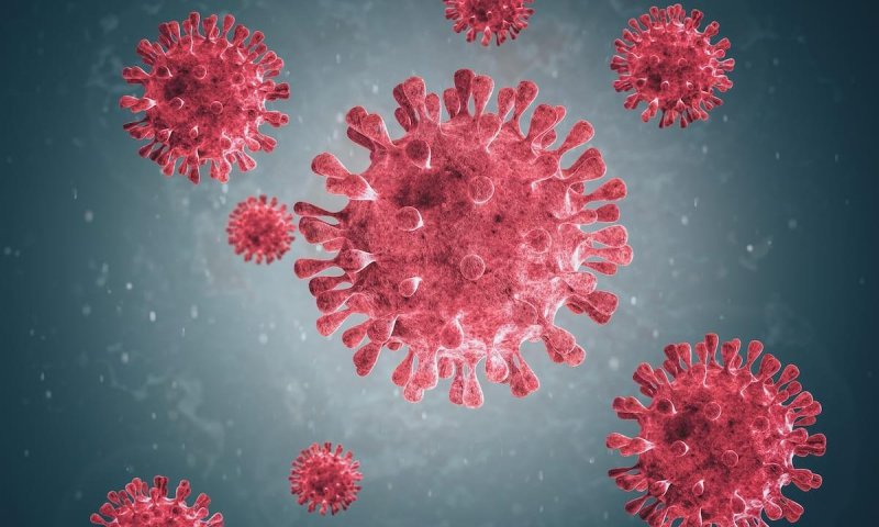 Доктор наук объяснил, может ли коронавирус «спать» в организме и подтачивать иммунитет