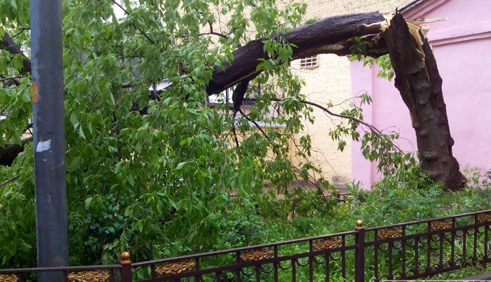 ГРУЗИЯ. На западе Грузии ликвидируют последствия сильного ветра