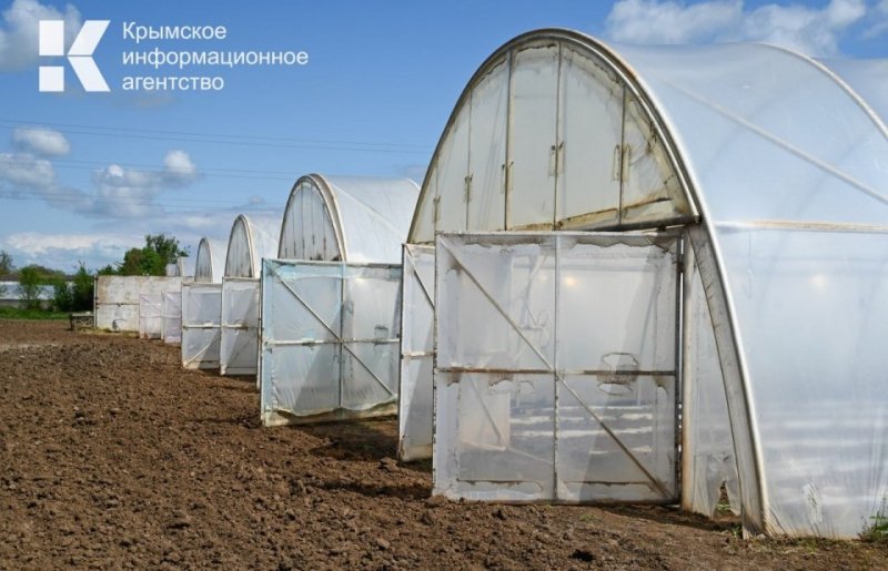 КРЫМ. В крымских теплицах собрали около 13 тысяч тонн овощей