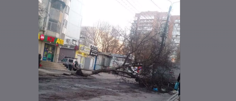 РОСТОВ. В Ростове ураганом повалило деревья на дороги