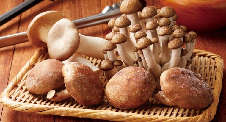 Три вида грибов, снижающих уровень холестерина