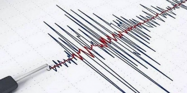 В Турции зафиксировали землетрясение магнитудой 4,5
