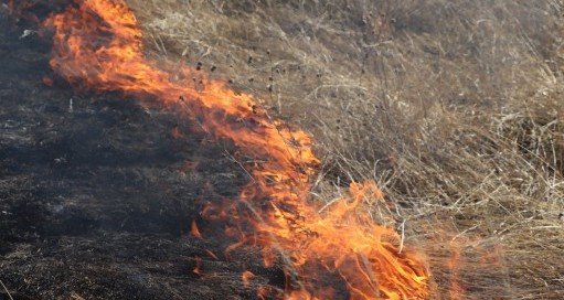 ЧЕЧНЯ. В республике официально закрыли пожароопасный сезон