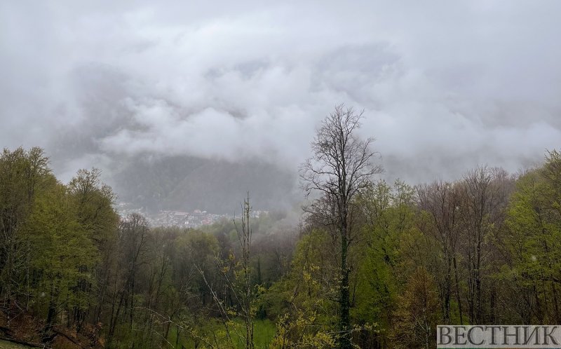 ГРУЗИЯ. Погода в Грузии: снегопад и туманы идут на восток страны