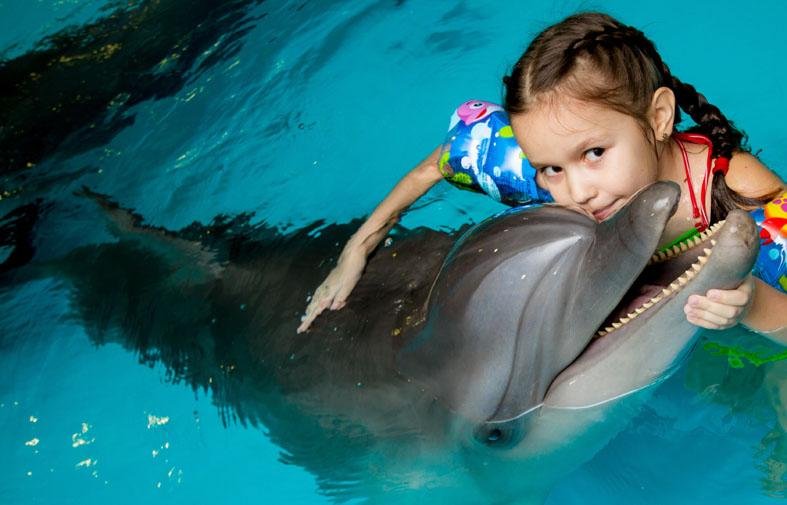 КРАСНОДАР. В дельфинарии Сочи за 11 лет провели 10 тысяч занятий для людей с инвалидностью