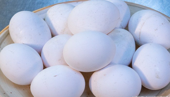 На ярмарках в Ставрополе распродали свыше 100 тысяч яиц