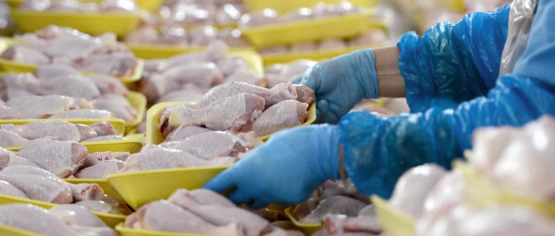 РОСТОВ. Цены на курятину в Ростовской области снизятся в 2024 году