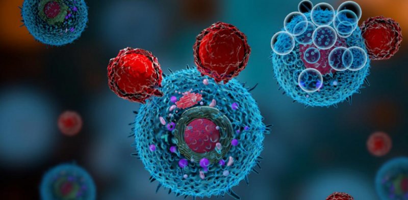 Ученые установили, что медленнорастущие раковые клетки устойчивы к химиотерапии