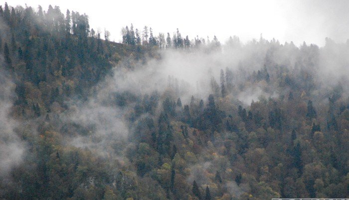 АБХАЗИЯ. Лес горит в Абхазии – пылает гора Мамзышха