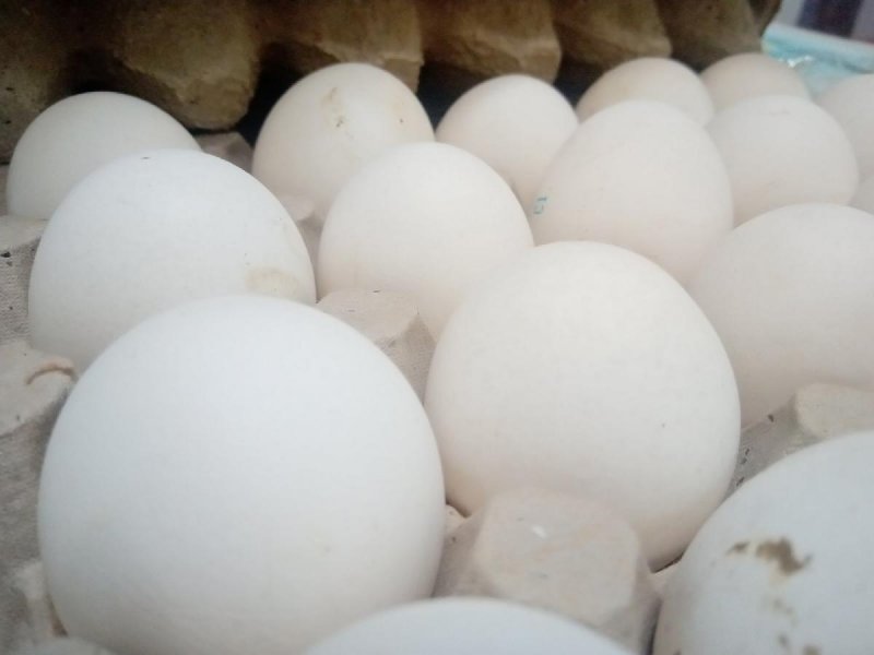 КБР. В 2023 году экспорт яиц в Кабардино-Балкарию вырос в 2,2 раза