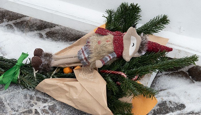 Кисловодск отправит новогодние елки на корм кроликам