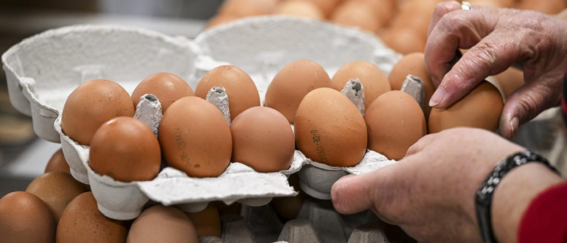 РОСТОВ. В магазинах Ростовской области вместо турецких появились дешевые «невидимые» яйца