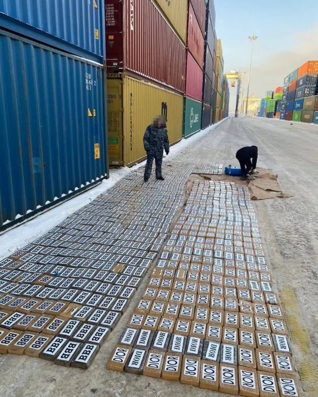 В  порту  Санкт-Петербурга изъяли свыше тонны кокаина стоимостью более чем 11 миллиардов рублей