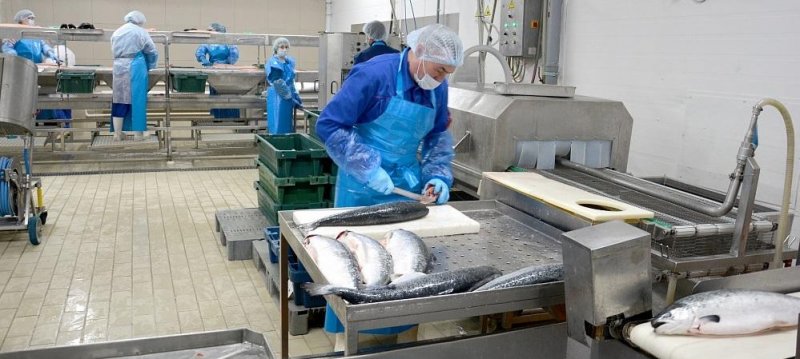 ВОЛГОГРАД. Волгоградская область увеличила поставки рыбной продукции на потребительский рынок
