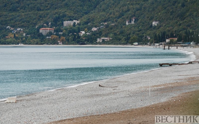 АБХАЗИЯ. В Абхазии на берегу моря массово гибнут птицы