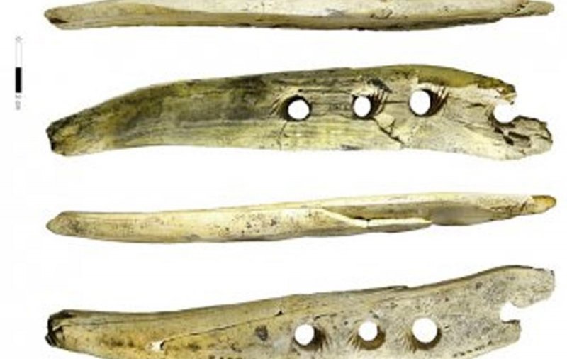 Археологи раскрыли секрет таинственного артефакта, выполненного из кости мамонта