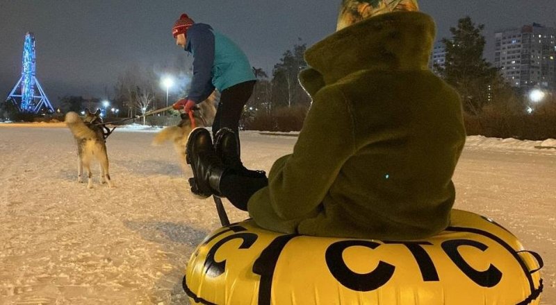 ВОЛГОГРАД. В Центральном парке Волгограда собаки в упряжках и дети будут участвовать в гонках