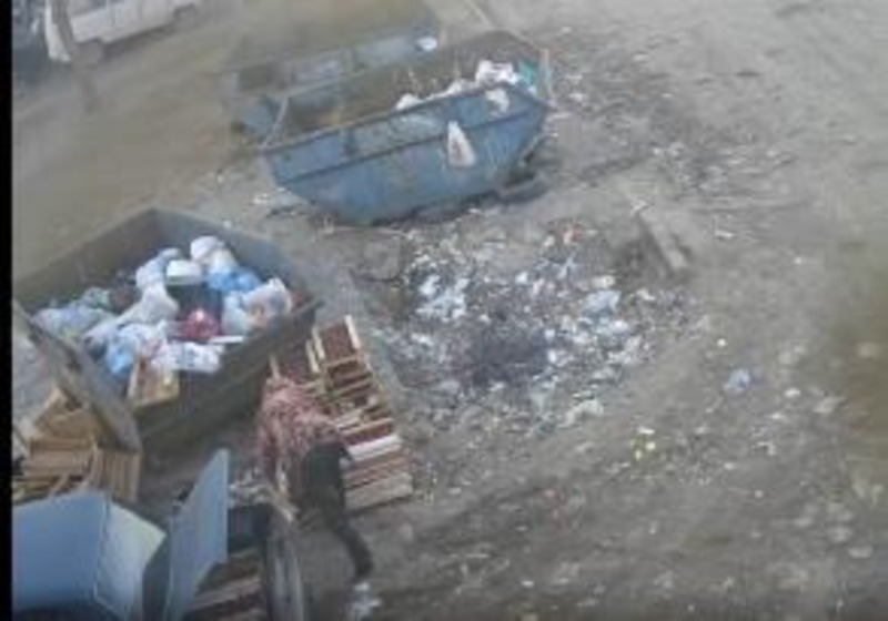 АСТРАХАНЬ. Астраханцу придется заплатить крупный штраф за сброс мусора в неположенном месте
