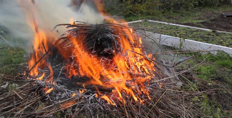 ЧЕЧНЯ. В ГУ МЧС  региона напомнили о недопустимости сжигания сухой травы и мусора рядом с домами