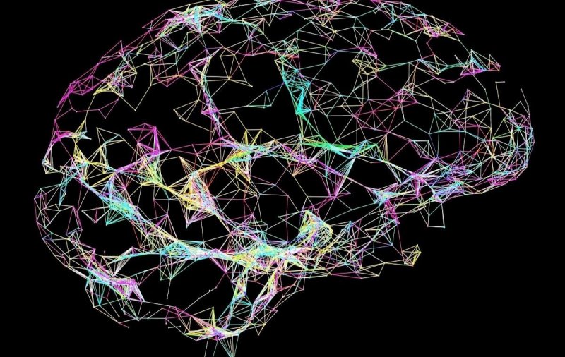 ИИ эффективно определил повреждения в мозге после инсульта