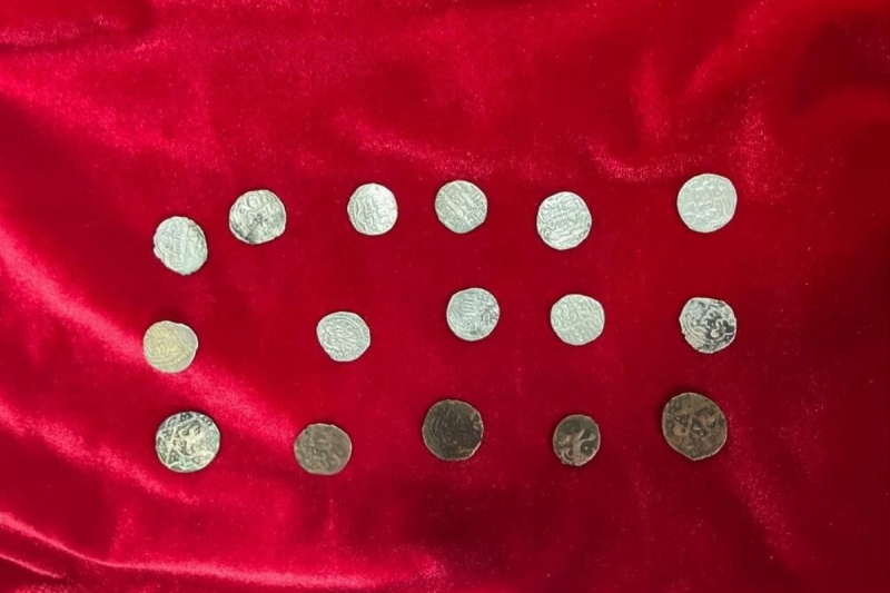 ИНГУШЕТИЯ. Специалисты передали музею в Назрани 16 монет Золотой Орды