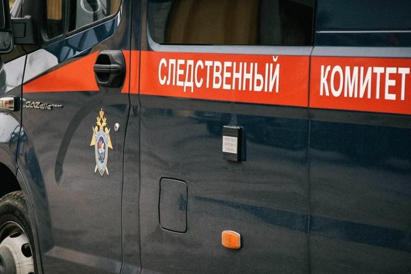 КРЫМ. Бастрыкин поручил выяснить, почему сироте с тремя детьми не выдают квартиру в Крыму