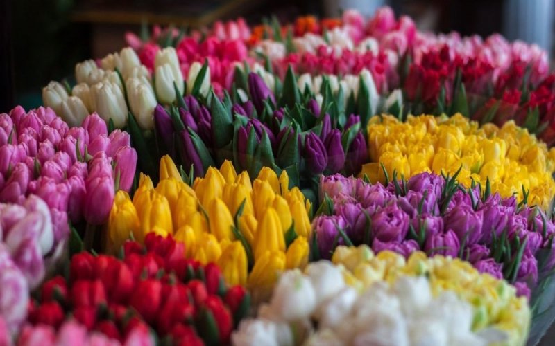 На Урале похитили крупную партию цветов на  сумму 1,8 млн рублей